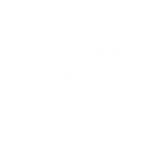 DVC Shop logo castle with fireworks
