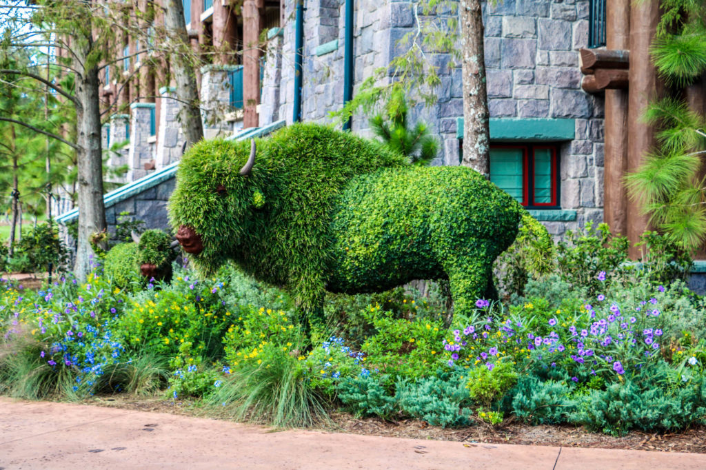 Disney DVC Boulder Ridge Villas garden topiary