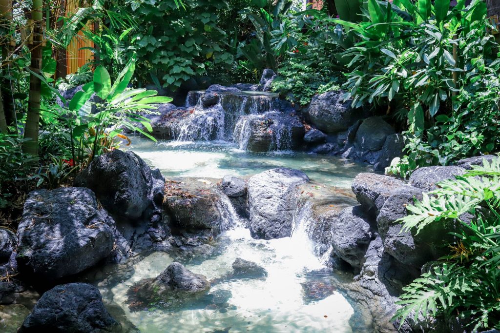 Pond and water feature at Disney's DVC Polynesian Resort