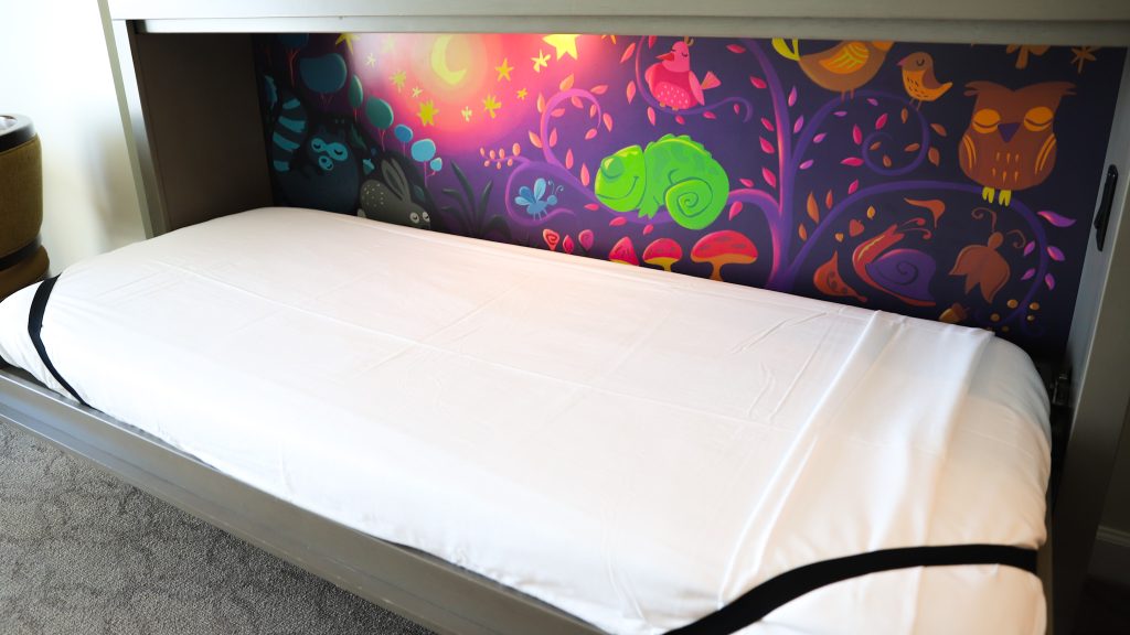 DVC Riviera Studio single pull down bed opened